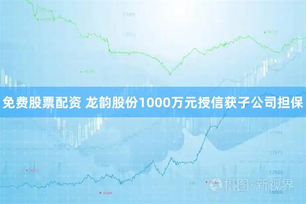 免费股票配资 龙韵股份1000万元授信获子公司担保