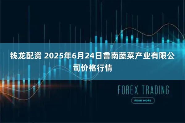 钱龙配资 2025年6月24日鲁南蔬菜产业有限公司价格行情
