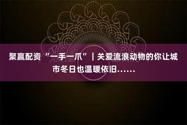 聚赢配资 “一手一爪”|关爱流浪动物的你让城市冬日也温暖依旧……