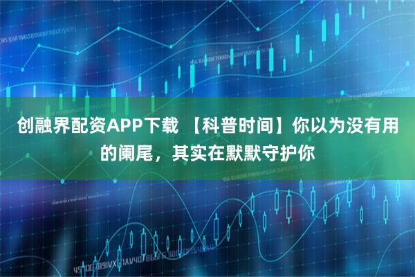 创融界配资APP下载 【科普时间】你以为没有用的阑尾，其实在默默守护你