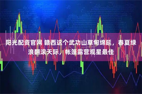 阳光配资官网 赣西这个武功山草甸绵延，春夏绿浪翻滚天际，帐篷露营观星最佳