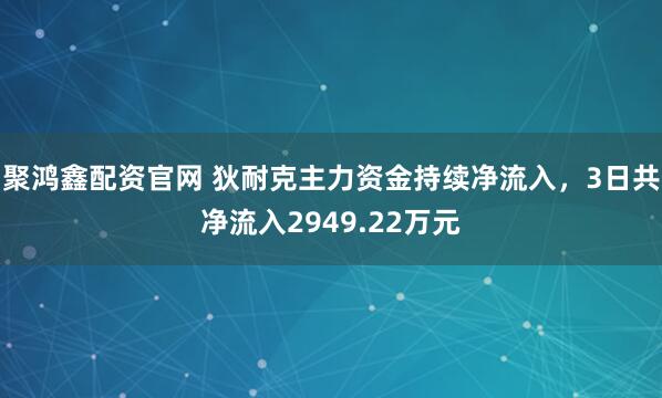 聚鸿鑫配资官网 狄耐克主力资金持续净流入，3日共净流入2949.22万元